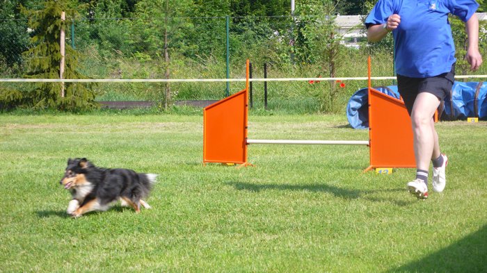 Třebovice_jumping_b.jpg