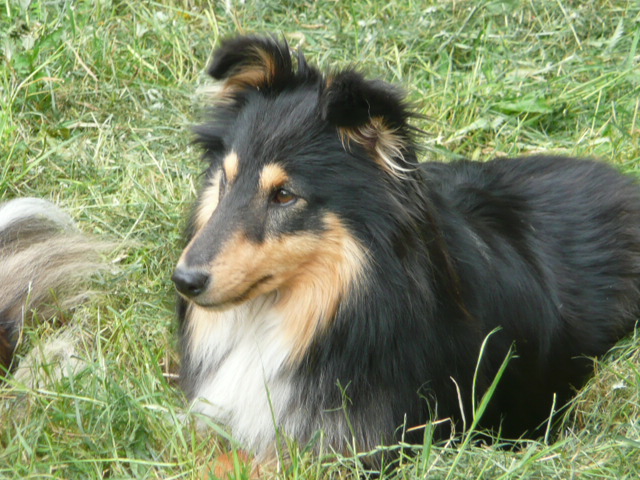 P1020039.JPG