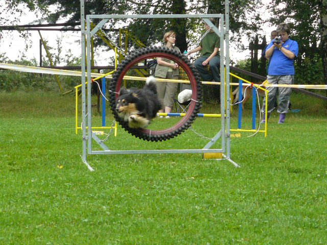 P1030306.jpg