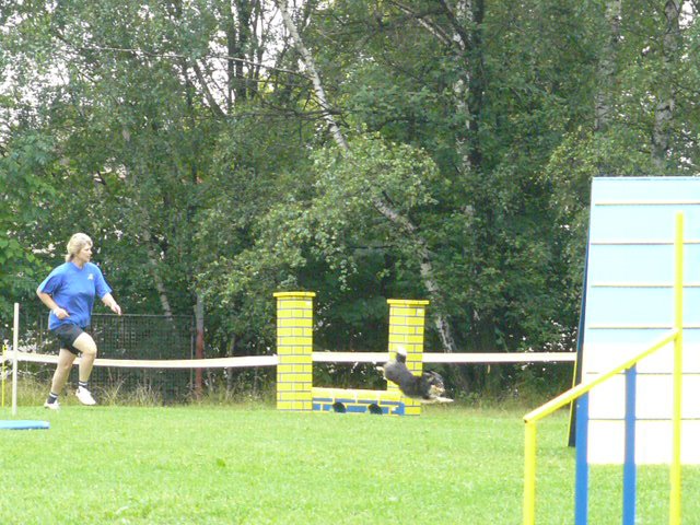 P1030308.jpg