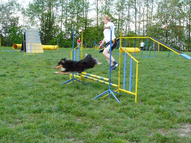 P1030137.jpg