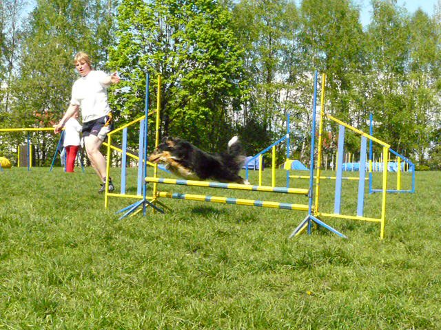 P1030143.jpg
