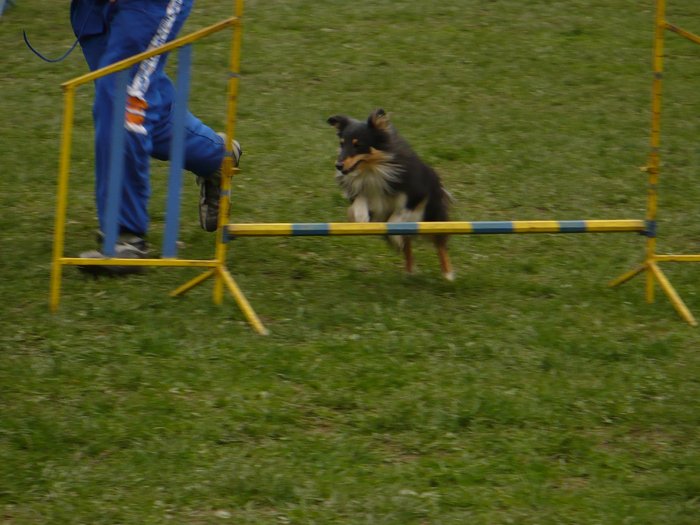 vystava_JIPka_215.jpg