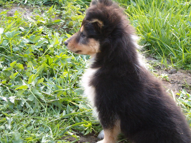 Anika Sherry Polodr alias Sherrynka_4.jpg