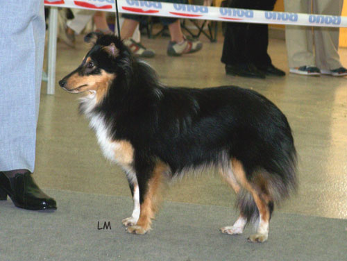 anika_sherry_polodr_06.jpg
